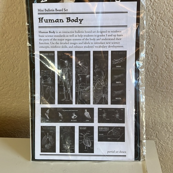 Bulletin Board Set - Picture 2 of 2